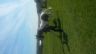 Bramham horse trials 2015